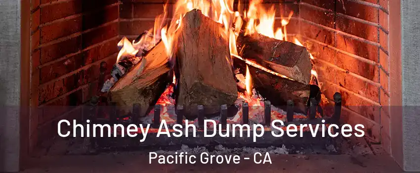  Chimney Ash Dump Services Pacific Grove - CA
