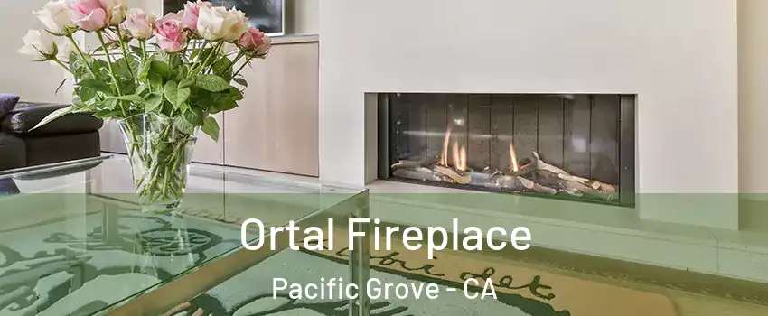  Ortal Fireplace Pacific Grove - CA